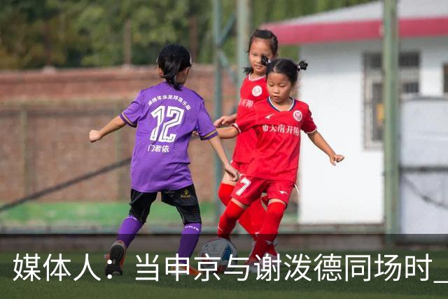 媒体人：当申京与谢泼德同场时 火箭的挡拆防守会被对手无情摧毁